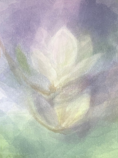 Magnolia