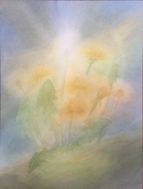 image0.jpeg