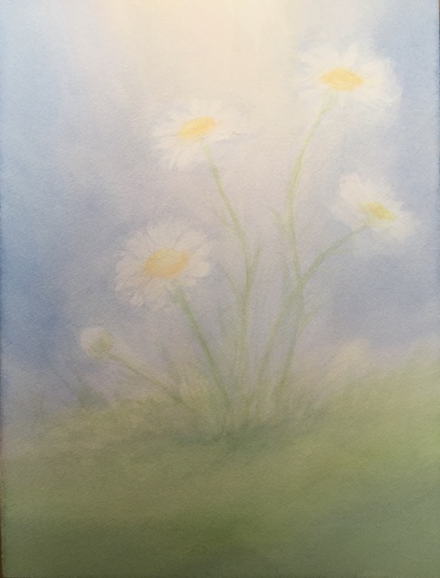 Daisies
